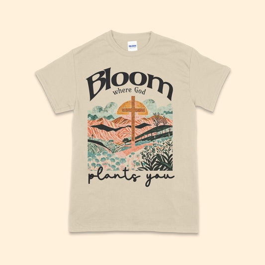 Bloom