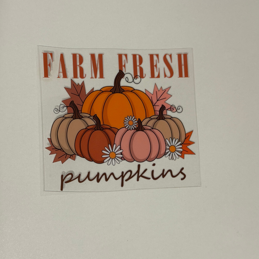 Fall 1