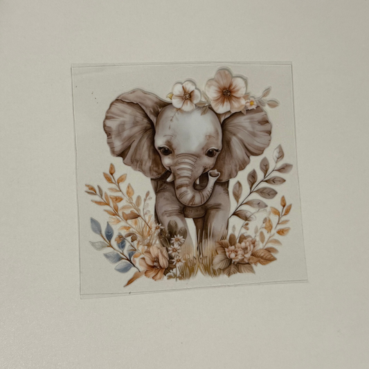 Elephant 1